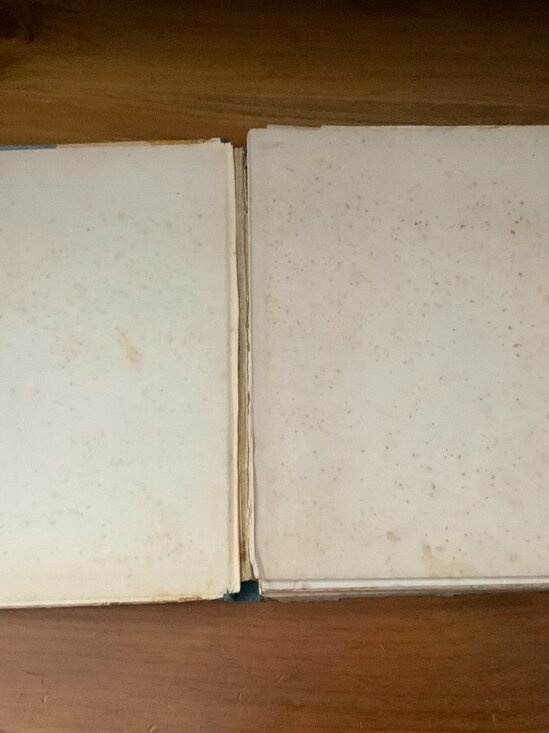 VINTAGE BOOK - 1932 - THE LIFE OF OUR LORD - SCRIPTURE STORIES FOR CHILDREN - Picture 2 of 12